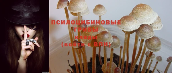 мяу мяу мука Балахна