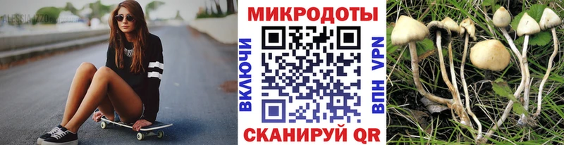 Галлюциногенные грибы ЛСД  Свирск 